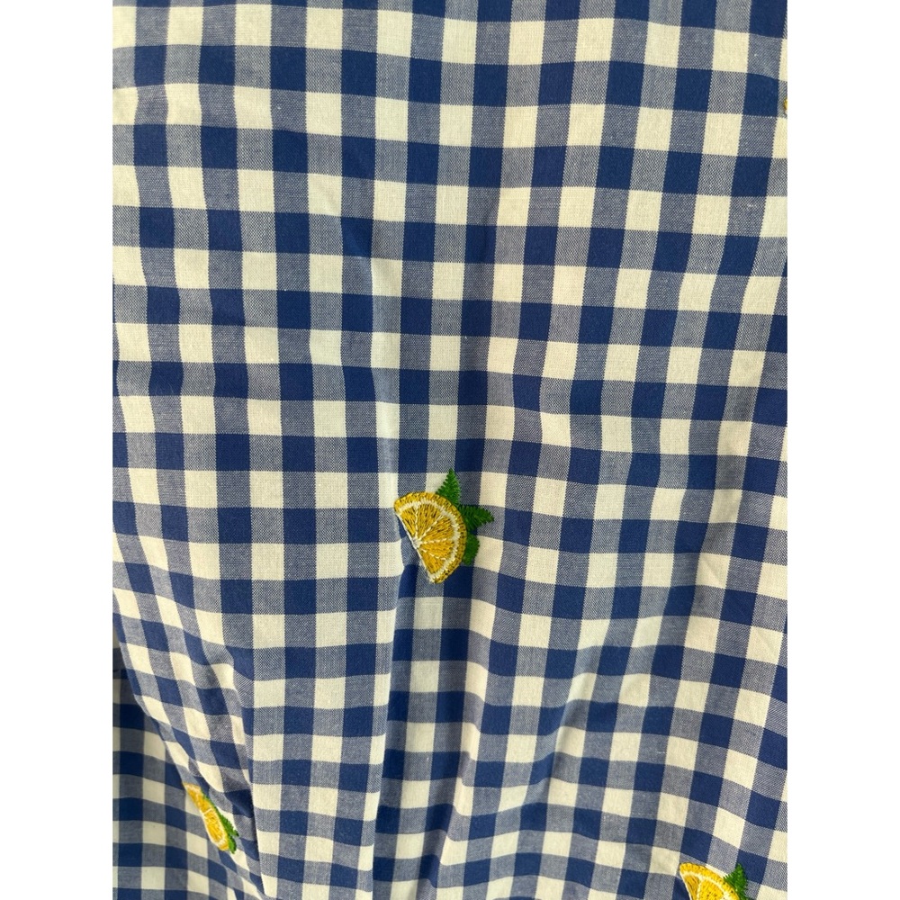 Talbots Blue Gingham Dress with Lemon Print - Picture 4 of 6